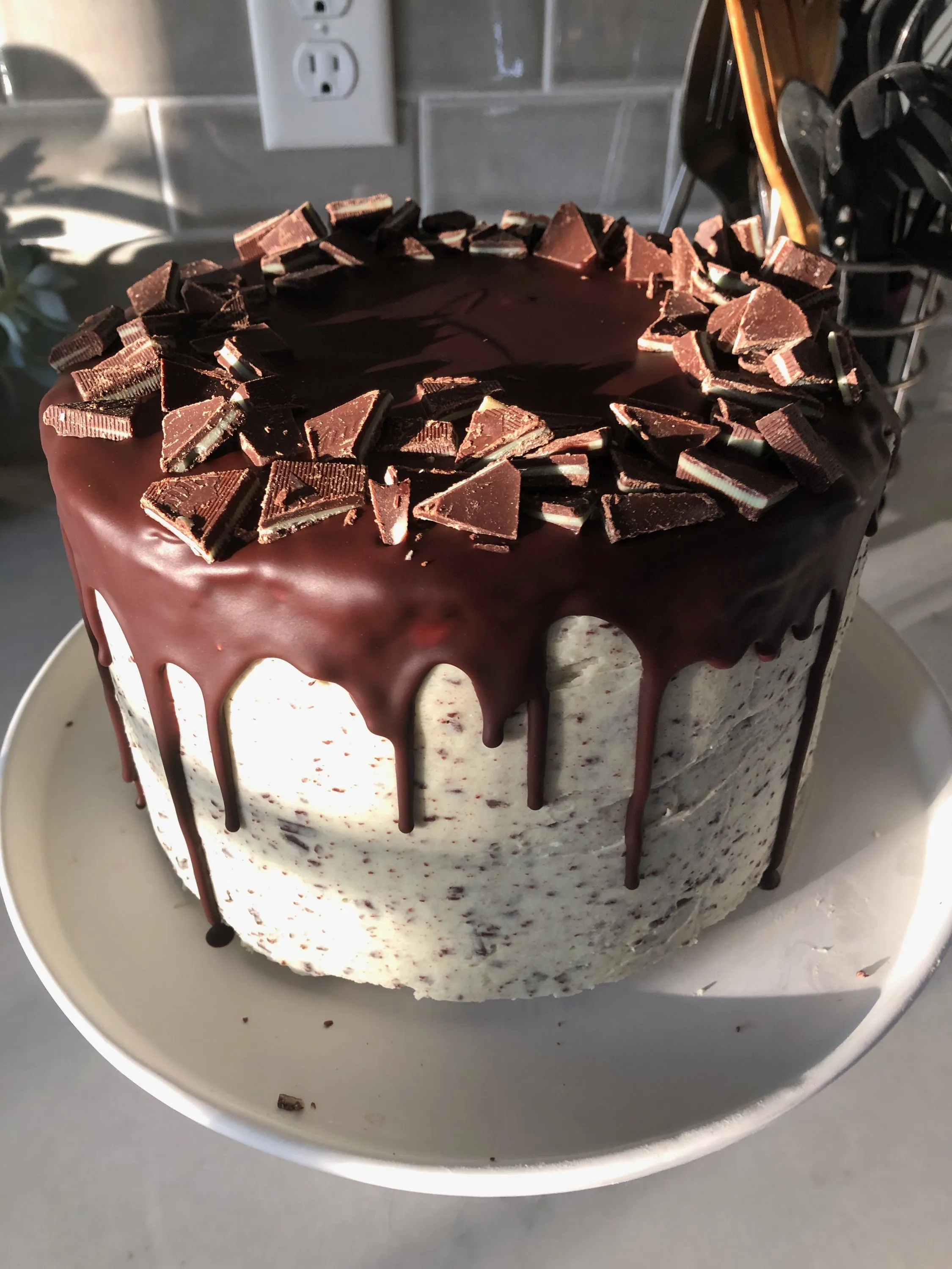 Mint Chocolate Chip Cake 2