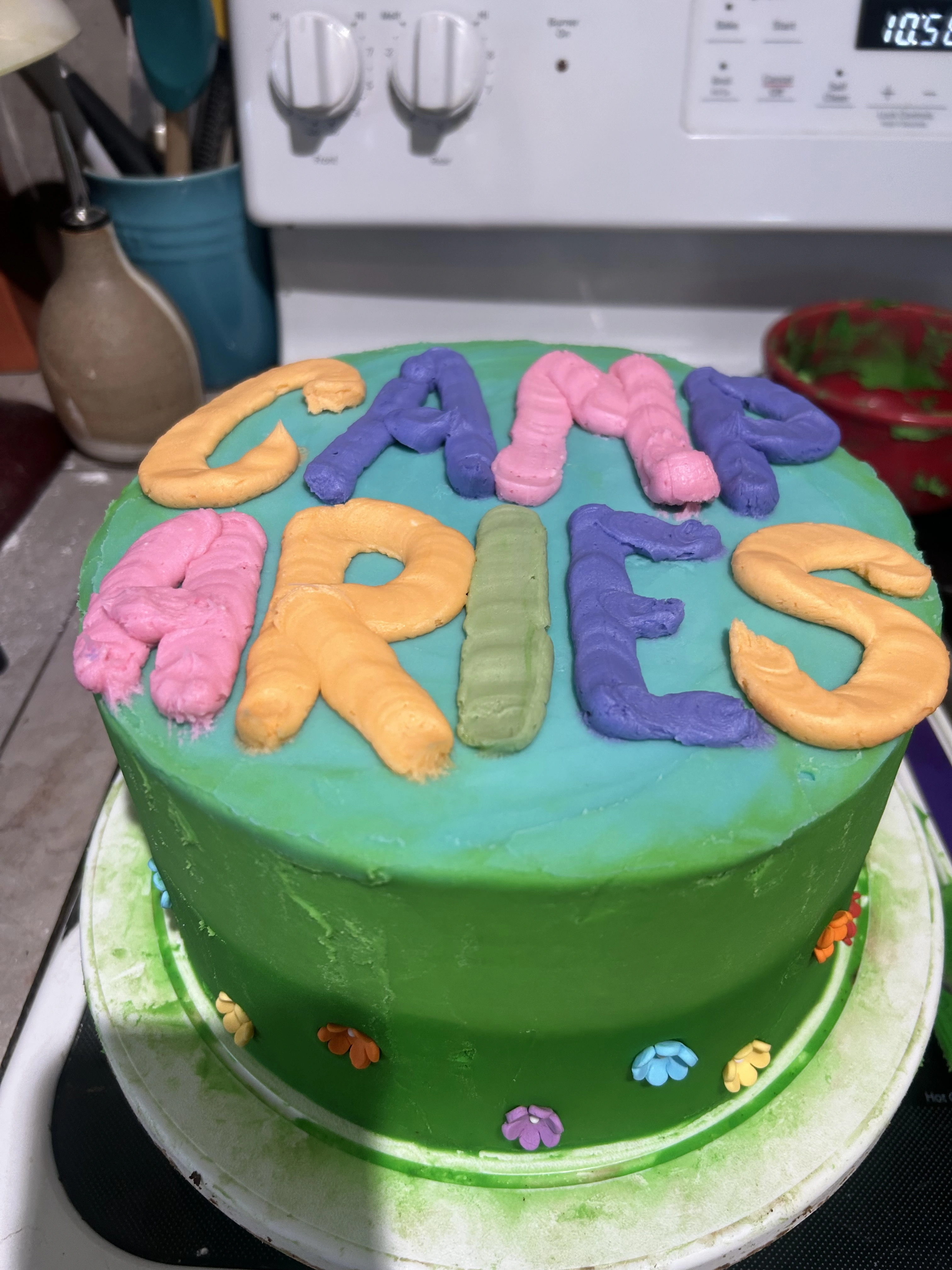 Camp Aries Cake