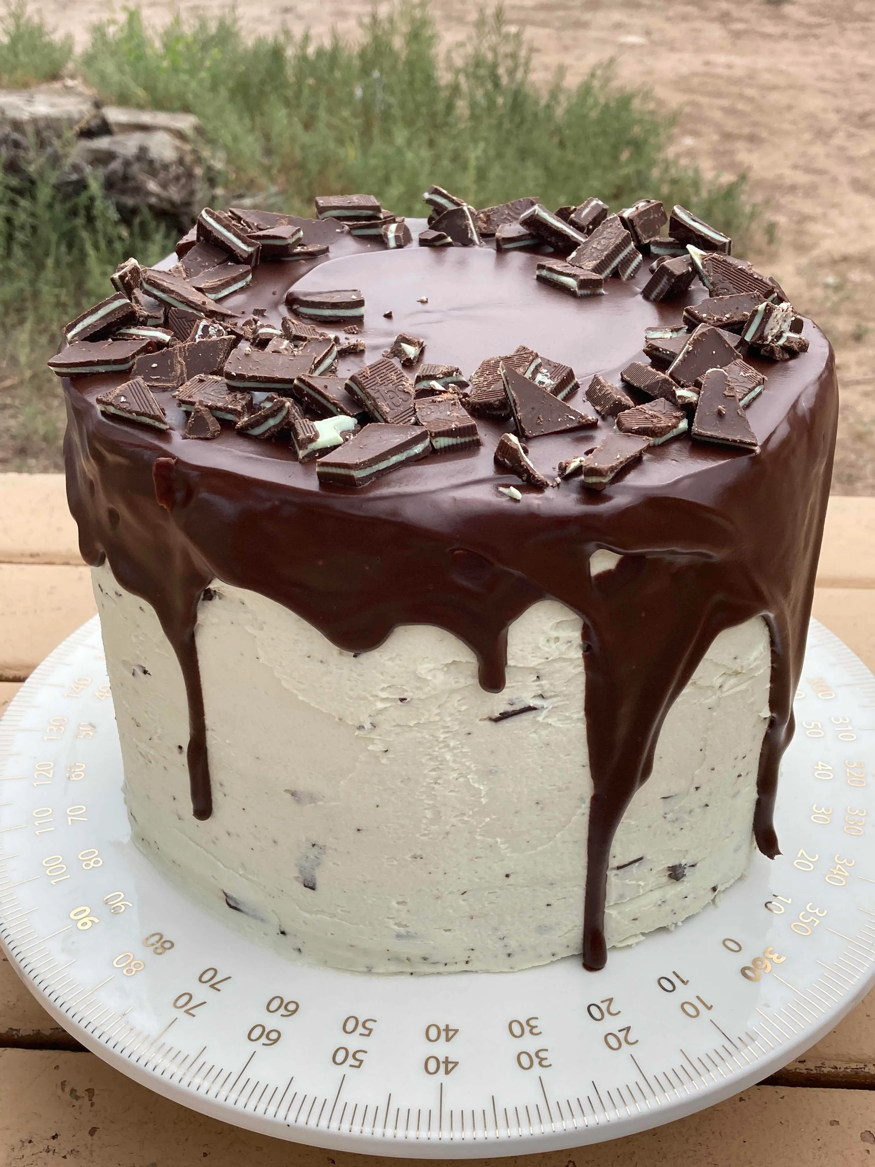 Mint Chocolate Chip Cake 3